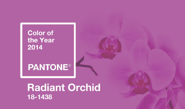 Pantone Color of the Year - Radiant Orchid